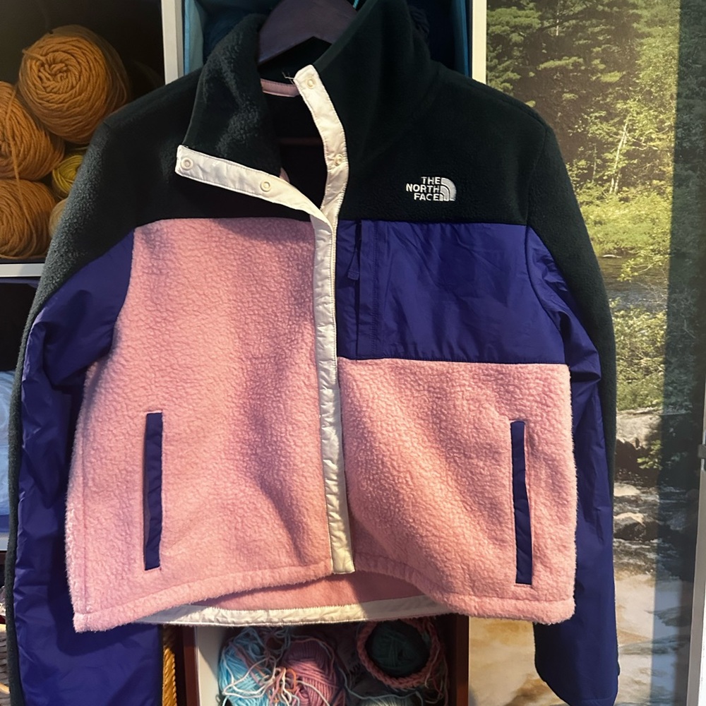 The North Face Teal and Pink Fleece Jacket
